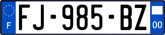 FJ-985-BZ