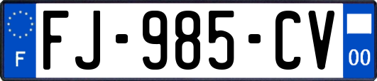 FJ-985-CV