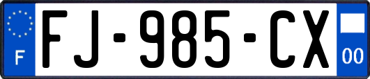 FJ-985-CX