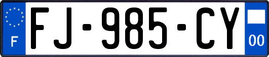 FJ-985-CY