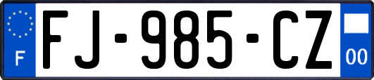 FJ-985-CZ