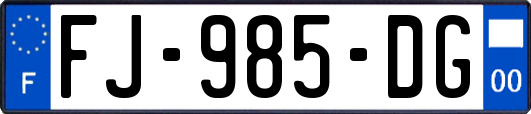 FJ-985-DG