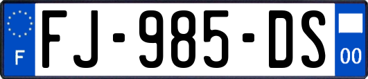 FJ-985-DS