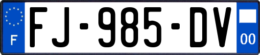 FJ-985-DV