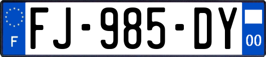 FJ-985-DY