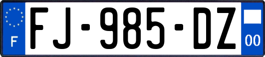 FJ-985-DZ