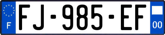 FJ-985-EF