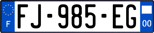 FJ-985-EG