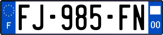 FJ-985-FN