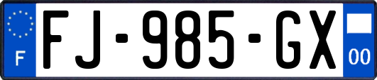 FJ-985-GX