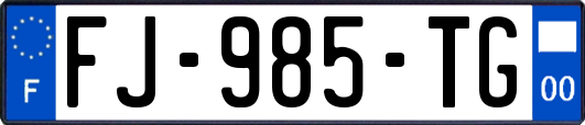 FJ-985-TG