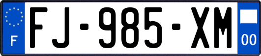 FJ-985-XM