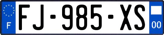 FJ-985-XS