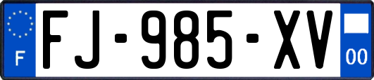 FJ-985-XV