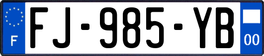 FJ-985-YB