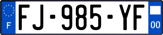 FJ-985-YF