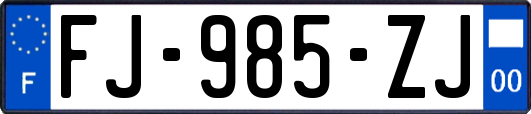 FJ-985-ZJ