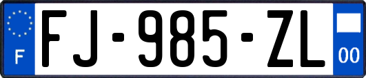 FJ-985-ZL