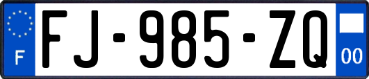 FJ-985-ZQ