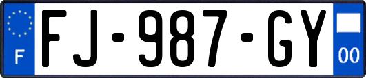 FJ-987-GY