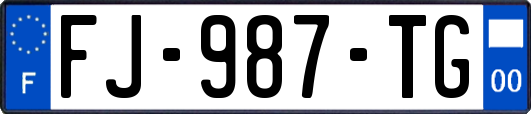 FJ-987-TG