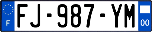 FJ-987-YM
