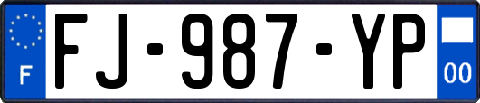 FJ-987-YP