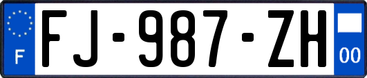 FJ-987-ZH