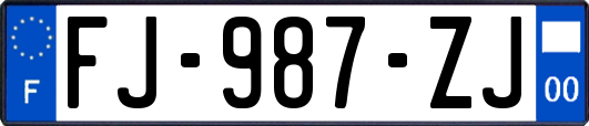 FJ-987-ZJ