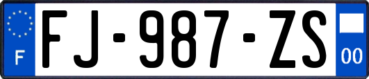 FJ-987-ZS