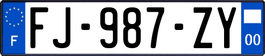 FJ-987-ZY