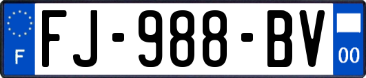 FJ-988-BV