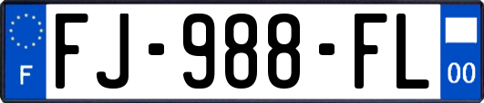 FJ-988-FL