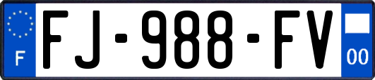 FJ-988-FV