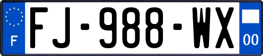 FJ-988-WX