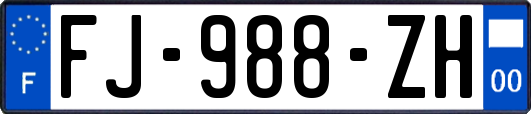 FJ-988-ZH