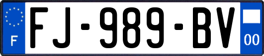 FJ-989-BV