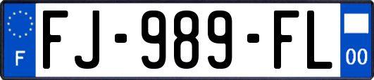 FJ-989-FL