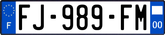 FJ-989-FM