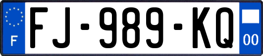 FJ-989-KQ