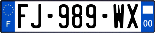 FJ-989-WX