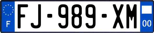 FJ-989-XM