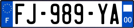 FJ-989-YA