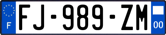 FJ-989-ZM