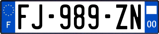 FJ-989-ZN