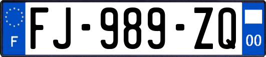 FJ-989-ZQ