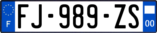 FJ-989-ZS