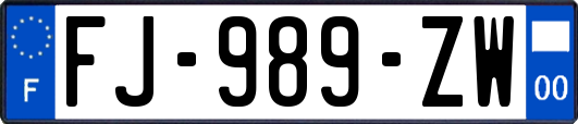 FJ-989-ZW