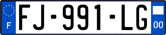 FJ-991-LG