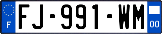 FJ-991-WM